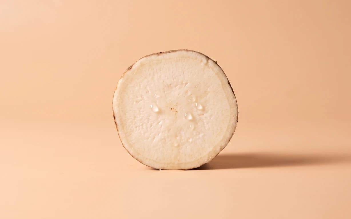 A freshly cut, pale root cross-section standing on a warm peach studio surface, with soft directional light and a long grounding shadow.