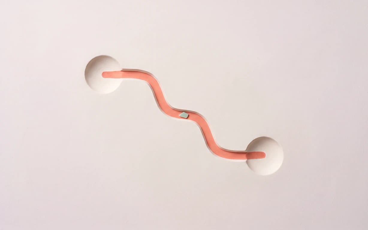 Two shallow plaster wells are joined by a winding coral relief path with one small celadon accent.