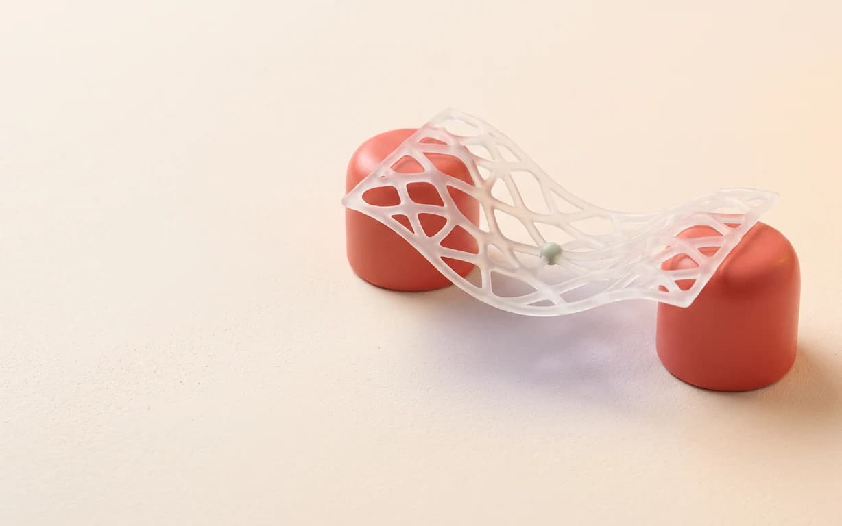 Translucent gel lattice draped over two coral ceramic supports on a warm ivory surface.