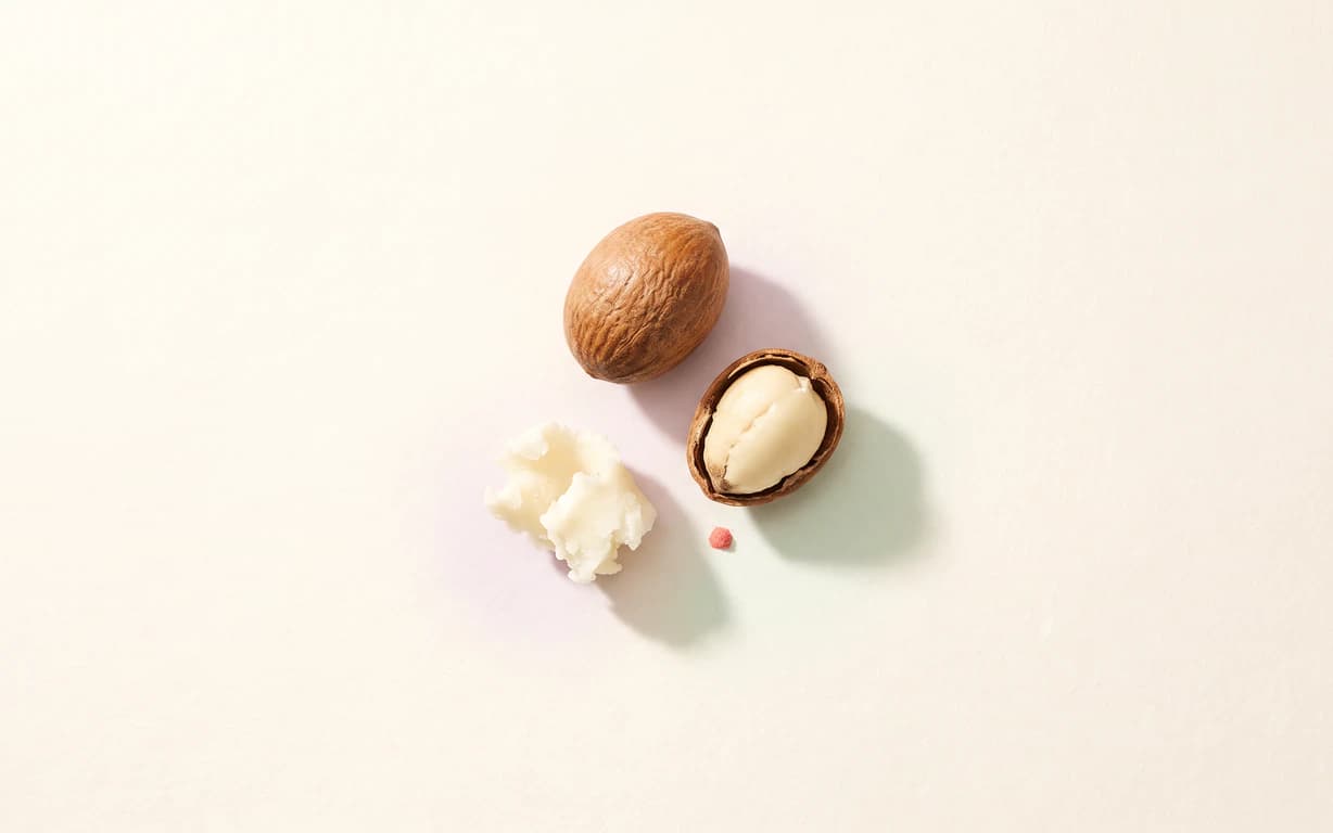 A whole shea nut, an open shell with its pale kernel, and a small curl of raw shea butter rest on a warm-ivory surface.