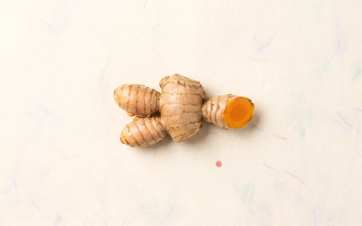 One knobby ochre turmeric rhizome with an attached vivid orange cut face rests on warm-ivory hanji beside a tiny coral point.