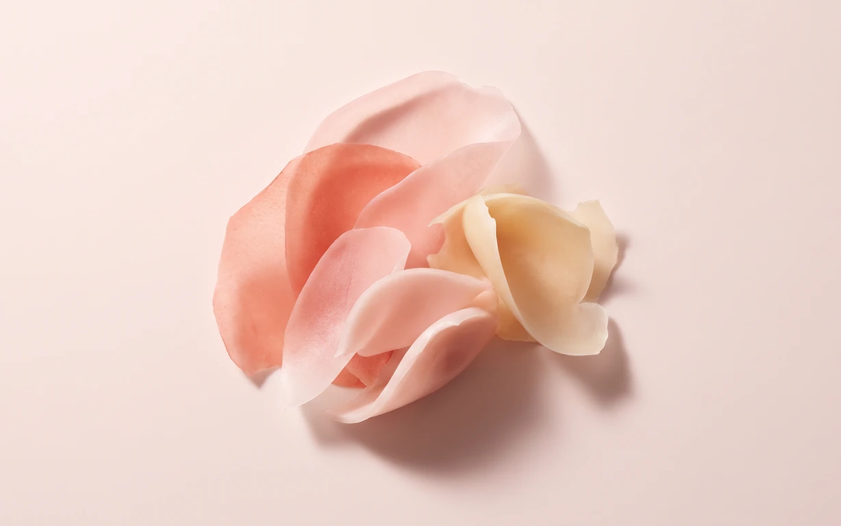 A centered cluster of soft pink, coral, and ivory petal-like sculptural folds on a pale blush background, lit with gentle shadows.