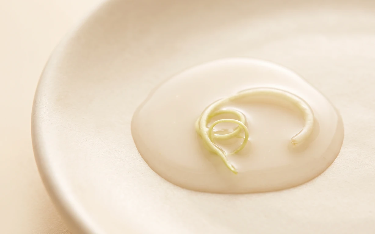 A translucent cream-toned pool with delicate pale green curled strands, resting on a softly lit ivory circular surface.