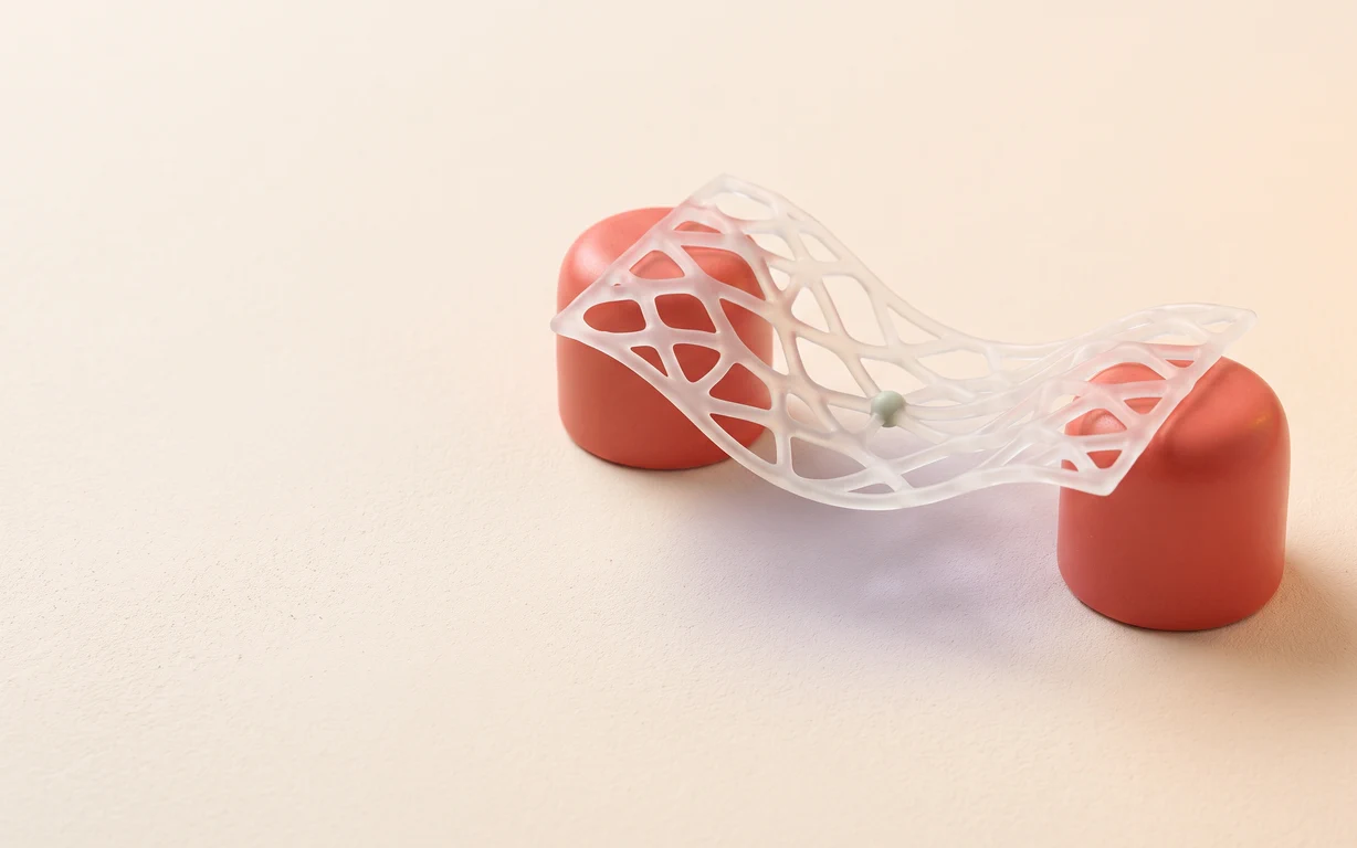 Translucent gel lattice draped over two coral ceramic supports on a warm ivory surface.