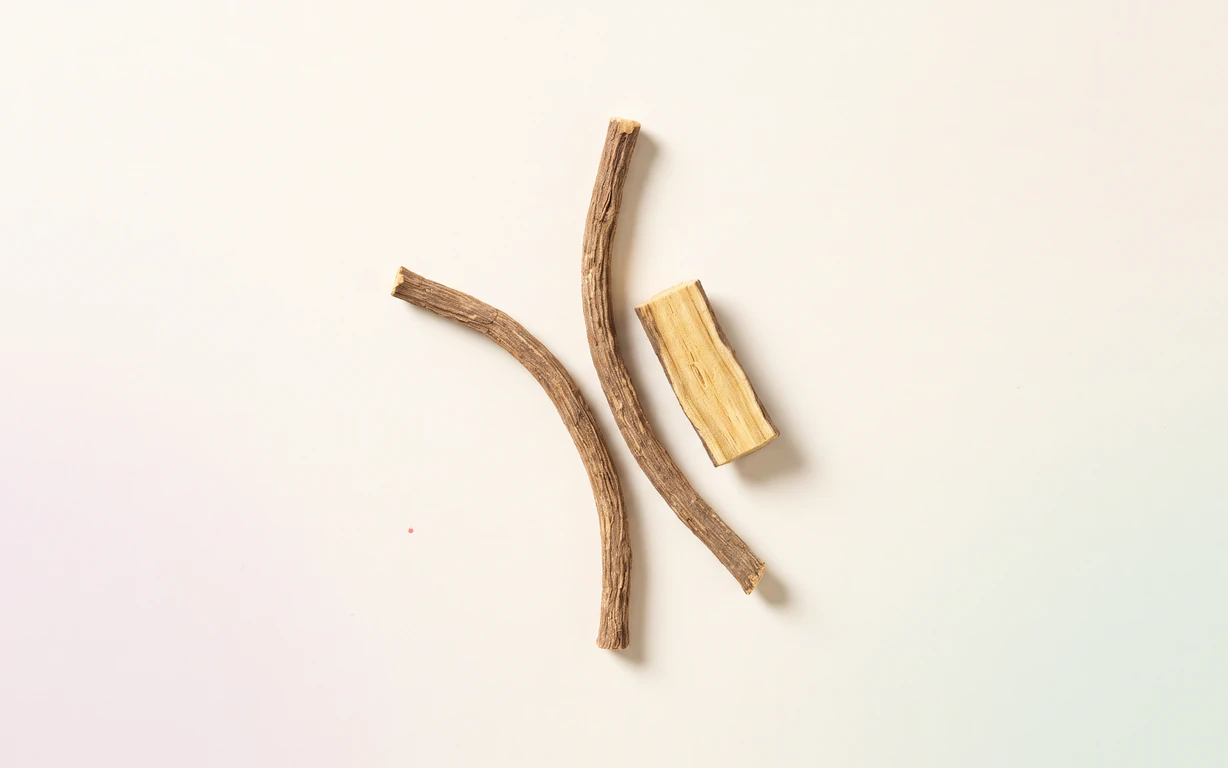 Three dried licorice-root pieces, including one pale cut face, rest on a warm-ivory surface beside faint lavender and celadon shadows.