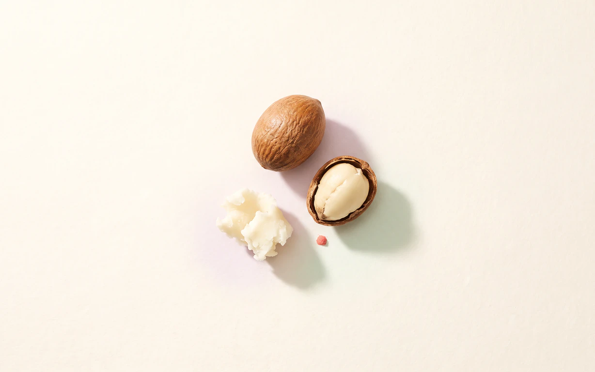 A whole shea nut, an open shell with its pale kernel, and a small curl of raw shea butter rest on a warm-ivory surface.